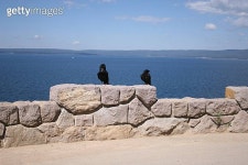 Nice view 이미지 (139856378) - 게티이미지뱅크 Nice view