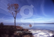 Oyster Boats on Apalachicola Bay 이미지 (136913705) - 게티이미지뱅크 Oyster Boats on Apalachicola Bay
