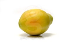 Papaya or paw-paw on a white studio background. 이미지 (90936945) - 게티이미지뱅크 Papaya or paw-paw on a white studio background.