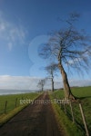 farm road 이미지 (93153833) - 게티이미지뱅크 farm road