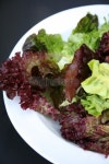 슈퍼런 샐러드(SUPER RUN SALAD) | Mesclun salad 이미지 (90612295) - 게티이미지뱅크 Mesclun salad