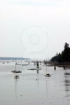 Small Harbor In Maine 이미지 (140233132) - 게티이미지뱅크 Small Harbor In Maine