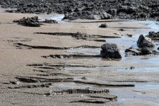 stony and sandy coast 이미지 (139981564) - 게티이미지뱅크 stony and sandy coast