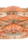 Boiled crab line up 이미지 (90613097) - 게티이미지뱅크 Boiled crab line up