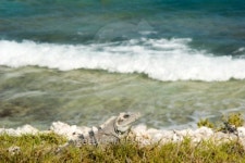 On the cliff 이미지 (90816187) - 게티이미지뱅크 On the cliff