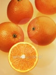 orange 이미지 (144723909) - 게티이미지뱅크 orange