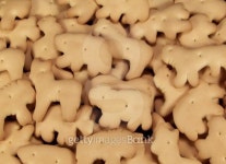 Full Frame Photo Of Animal Crackers 이미지 (99379194) - 게티이미지뱅크 Full Frame Photo Of Animal Crackers