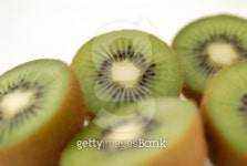 Kiwi 이미지 (98458982) - 게티이미지뱅크 Kiwi