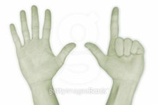 Hand Nr. 0,1,2,3,4,5,6,7,8,9,10 7 이미지 (99148599) - 게티이미지뱅크 Hand Nr. 0,1,2,3,4,5,6,7,8,9,10 7