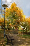 in town park 이미지 (144232595) - 게티이미지뱅크 in town park