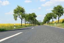 Road with trees and yellow field 이미지 (172195762) - 게티이미지뱅크 Road with trees and yellow field