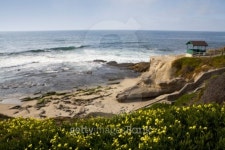 California Coastline Series 이미지 (89524722) - 게티이미지뱅크 California Coastline Series