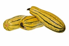 delicata squash-group 이미지 (172374029) - 게티이미지뱅크 delicata squash-group