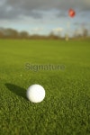 1st Pin, Putting Green and Golf Ball 이미지 (172265598) - 게티이미지뱅크 1st Pin, Putting Green and Golf Ball