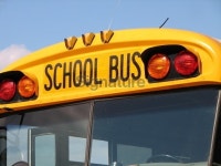 School Bus 이미지 (89905143) - 게티이미지뱅크 School Bus
