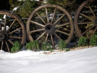 cart wheels 이미지 (140406946) - 게티이미지뱅크 cart wheels