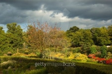 Sunlit park with storming sky 이미지 (89361276) - 게티이미지뱅크 Sunlit park with storming sky