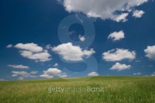 Green field and blue sky 이미지 (89329085) - 게티이미지뱅크 Green field and blue sky