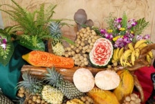 Thai fruits 이미지 (144318291) - 게티이미지뱅크 Thai fruits