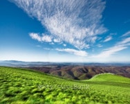 Greenery and blue sky 이미지 (99369557) - 게티이미지뱅크 Greenery and blue sky