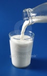 A glass of milk 이미지 (99088497) - 게티이미지뱅크 A glass of milk