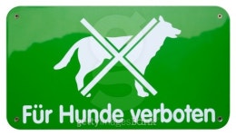 dogs forbidden sign 이미지 (91386840) - 게티이미지뱅크 dogs forbidden sign