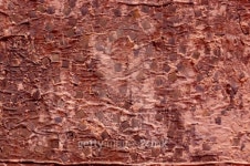 Background of an old wall. 이미지 (91359144) - 게티이미지뱅크 Background of an old wall.