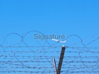 Youve got free and take off! 이미지 (89884157) - 게티이미지뱅크 Youve got free and take off!