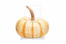 주식회사 펌킨펌프 | Pump Ke Mon Pumpkin 이미지 (179288349) - 게티이미지뱅크 Pump Ke Mon Pumpkin