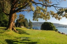 lakeside park 이미지 (144347938) - 게티이미지뱅크 lakeside park