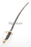 French style sabre 이미지 (172350956) - 게티이미지뱅크 French style sabre