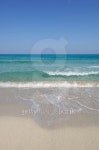 Saleccia beach 이미지 (144336655) - 게티이미지뱅크 Saleccia beach