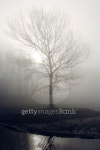 Standing alone in the mist 이미지 (91084939) - 게티이미지뱅크 Standing alone in the mist