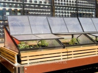 Greenhouse Cold Frame in Front of Solar Panels 이미지 (144805846) - 게티이미지뱅크 Greenhouse Cold Frame in Front of Solar Panels