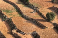 Desert farmland (Morocco) 이미지 (99317104) - 게티이미지뱅크 Desert farmland (Morocco)