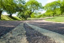 Green Lane 이미지 (91584385) - 게티이미지뱅크 Green Lane