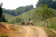 Horseback trail ride in the mountains 이미지 (89899514) - 게티이미지뱅크 Horseback trail ride in the mountains