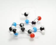 Caffeine Molecule 이미지 (144225806) - 게티이미지뱅크 Caffeine Molecule