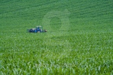 Blue tractor 이미지 (92408560) - 게티이미지뱅크 Blue tractor