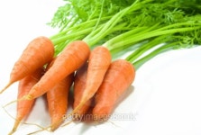 Carrot 이미지 (91598382) - 게티이미지뱅크 Carrot