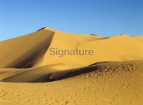 Morocco the Sahara Desert (image size XXL) 이미지 (172236645) - 게티이미지뱅크 Morocco the Sahara Desert (image size XXL)
