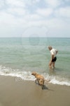 Senior man with dog 이미지 (92367770) - 게티이미지뱅크 Senior man with dog
