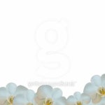 빨간바가지코스메틱 | Cosmetic and beauty 3 이미지 (93955580) - 게티이미지뱅크 Cosmetic and beauty 3