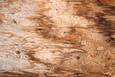 Dirty Plywood 이미지 (91362270) - 게티이미지뱅크 Dirty Plywood