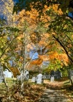 New England fall foliage 이미지 (92185048) - 게티이미지뱅크 New England fall foliage