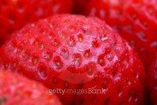 strawberry 이미지 (91386336) - 게티이미지뱅크 strawberry