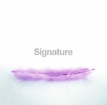 Light as a feather 이미지 (172382375) - 게티이미지뱅크 Light as a feather