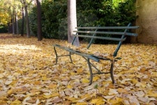 Bench in the park 이미지 (144727716) - 게티이미지뱅크 Bench in the park