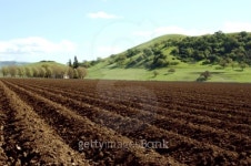 Tilled Earth 이미지 (93169769) - 게티이미지뱅크 Tilled Earth
