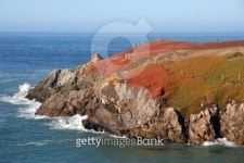 공삼코스트(03 Coast) | Sonoma Coast Colors 이미지 (144362786) - 게티이미지뱅크 Sonoma Coast Colors
